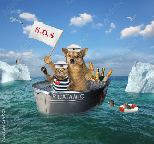 The two brave sailors cat and dog are drifting in the steel wash tub after the shipwreck among the icebergs in the sea. Their lifeboat is called Catanic. photo