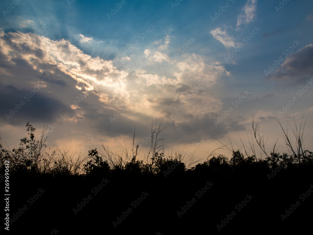 Silhouette trees and Beam of Sunlight behind dark clouds in the countryside