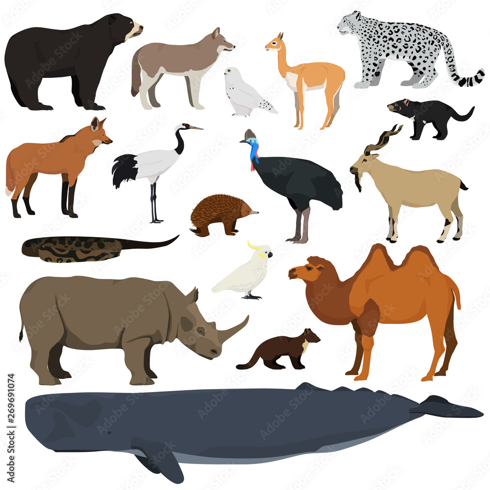 Big animal collection. Vector set of wild animals, birds, fish. Isolated on white background.
