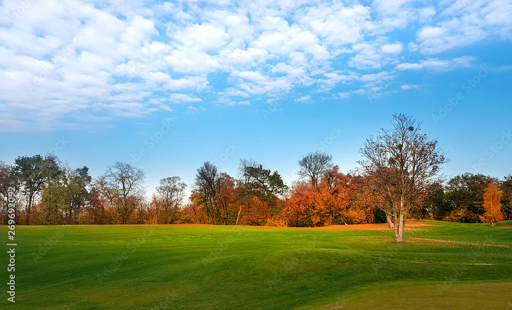 Green meadow in autumn park, panorama Green meadow in autumn park, panorama