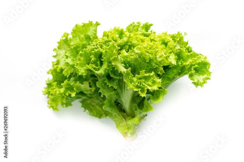 Green lettuce on white background.
