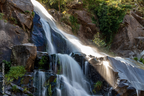 waterfall in forest