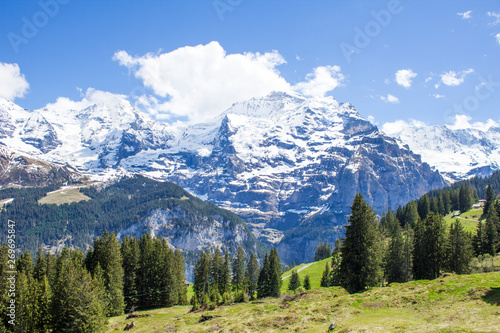 Swiss Alps. Alpine mountains. Mountain landscape. Tourist photo. Spring in the Alps © ppvector