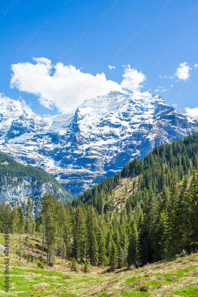 Swiss Alps. Alpine mountains. Mountain landscape. Tourist photo. Spring in the Alps