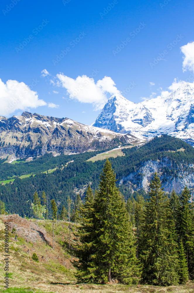 Swiss Alps. Alpine mountains. Mountain landscape. Tourist photo. Spring in the Alps