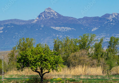 sierra de gratal