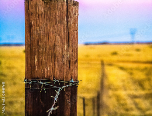 Wooden fence post in golden yellow field