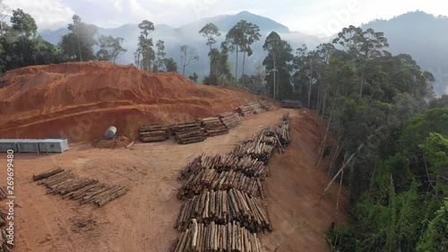 Logging. Aerial drone view of deforestation environmental problem. Rainforest destruction 