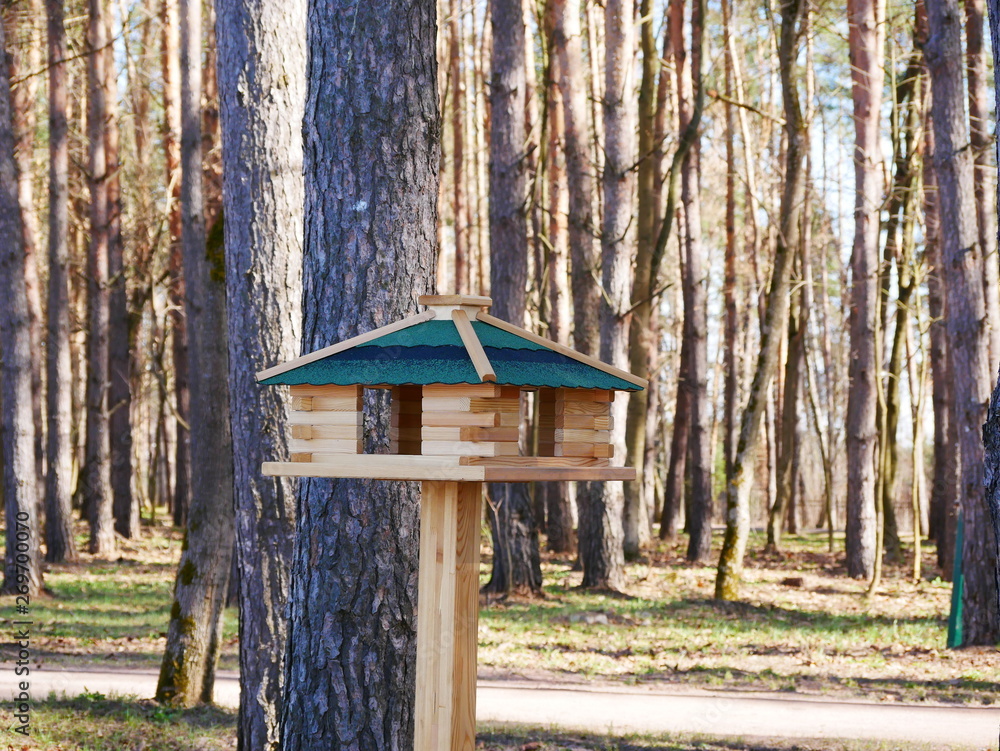 wooden bird feeder in a country Park on a Sunny day. wooden bird feeder in a country Park on a Sunny day.