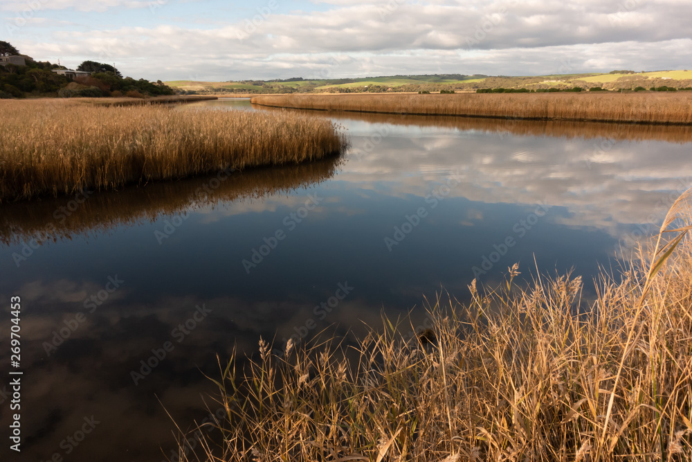 river with golden color grass at princetown wetland river with golden color grass at princetown wetland