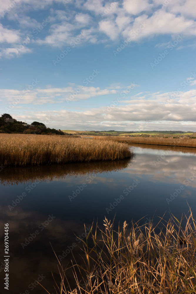 river with golden color grass at princetown wetland