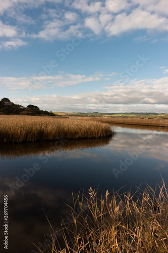 river with golden color grass at princetown wetland