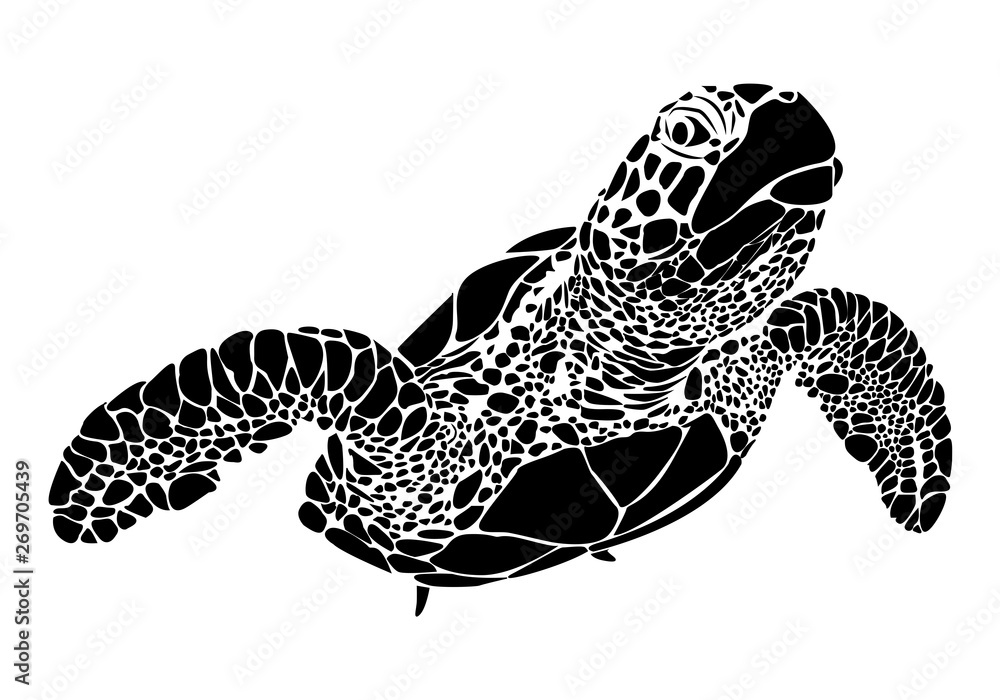 graphic sea turtle,vector illustration of sea turtle Stock Vector ...