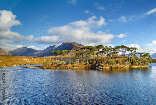 Картината върху платно Landscape with lake in Galway county, Ireland