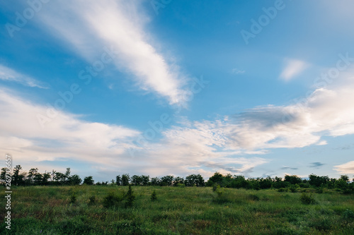 Country view with grass, trees and clouds at evening