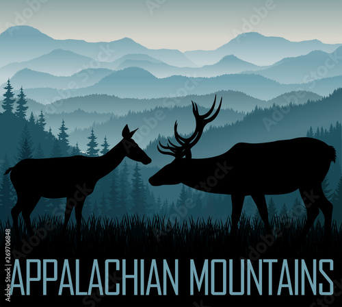 vector Appalachian Mountains with couple of white tailed deers