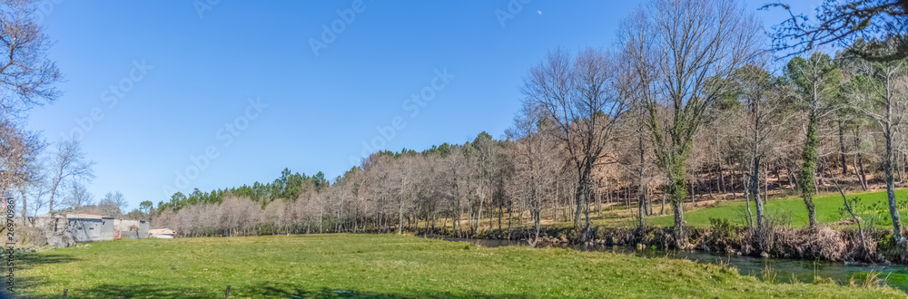 Ultra panoramic view, farm grass, close to the river with parallel trees