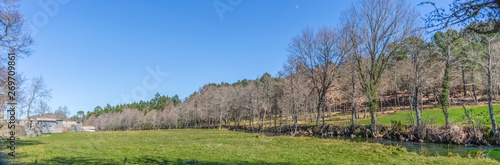Ultra panoramic view  farm grass  close to the river with parallel trees