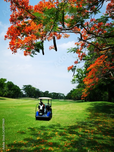 tthe golf cart on beatiful green fairway and  the red flowers photo