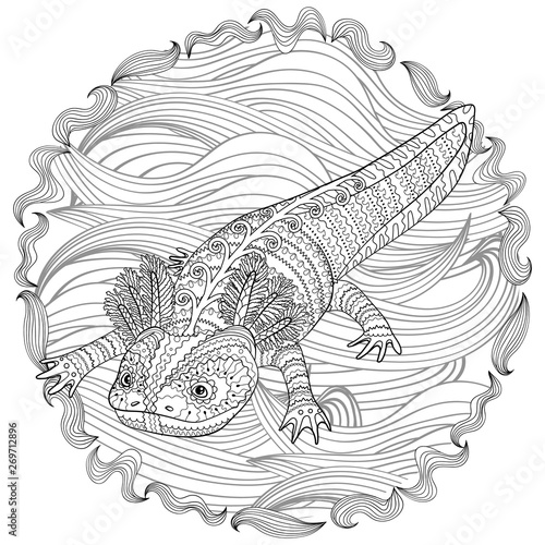 Coloring page with axolotl in patterned style.
