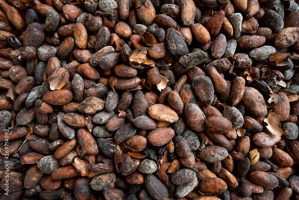 close-up cocoa beans are on the market of Indonesia close-up cocoa beans are on the market of Indonesia