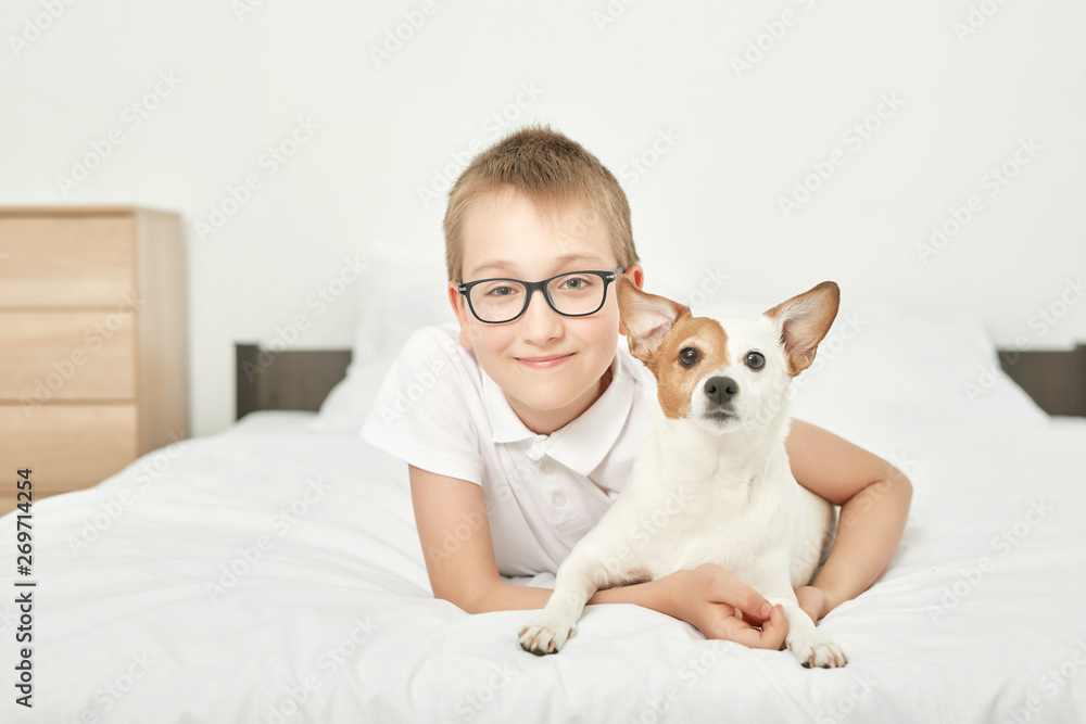 boy with dog jack russell sitting on a white bed at home boy with dog jack russell sitting on a white bed at home
