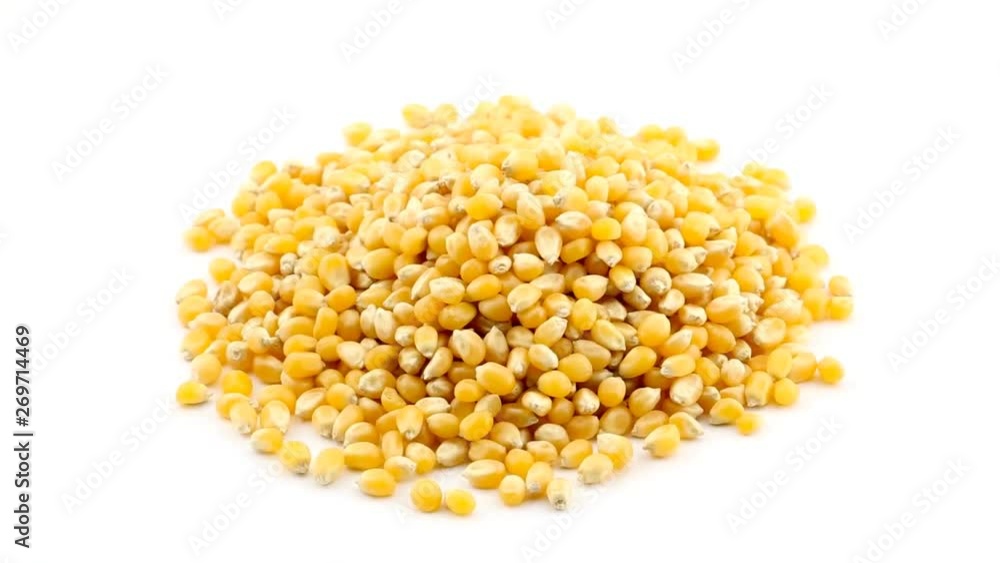 Heap of organic, raw, dried corn or maize kernels rotating over white Heap of organic, raw, dried corn or maize kernels rotating over white