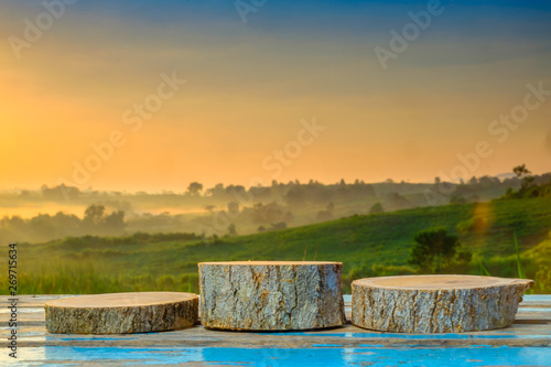 Acasia tree cross-sections with annual rings on wooden table during sunrise