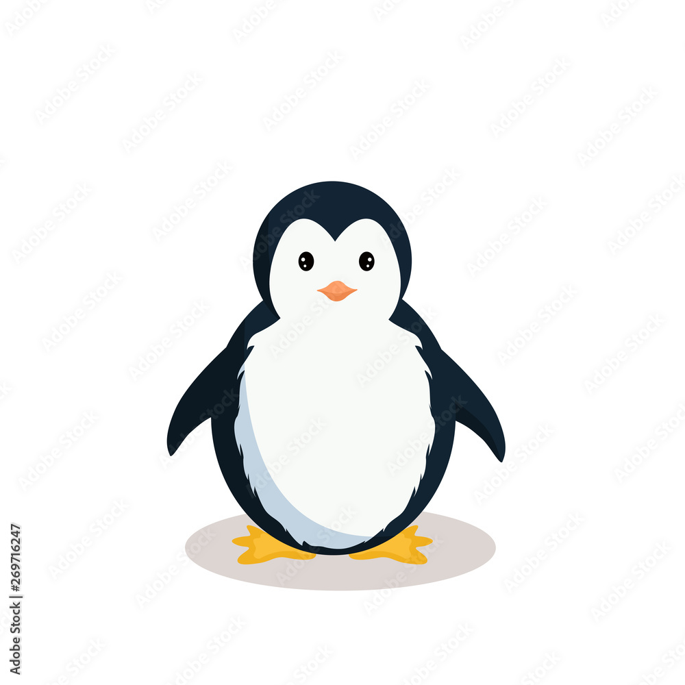 Obraz premium Vector design of baby penguin