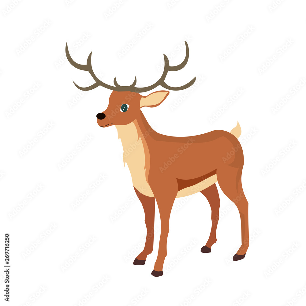 Vector design of reindeer, animal rangifer Vector design of reindeer, animal rangifer