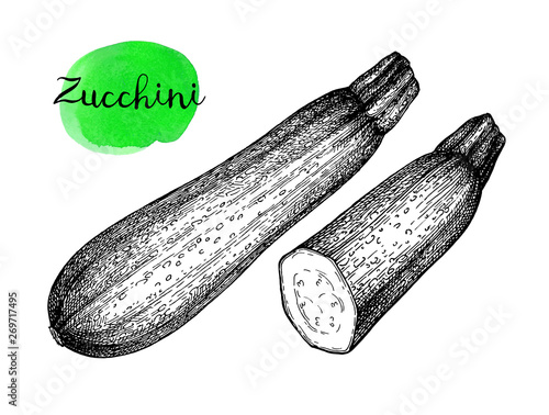 Ink sketch of zucchini.