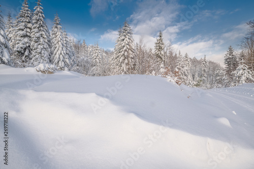 winter mountain landscape with trees and snow