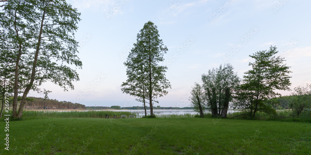 Trees on green meadow at a lake against blue sky during sunrise in the Havelland region in Brandenburg, Germany 