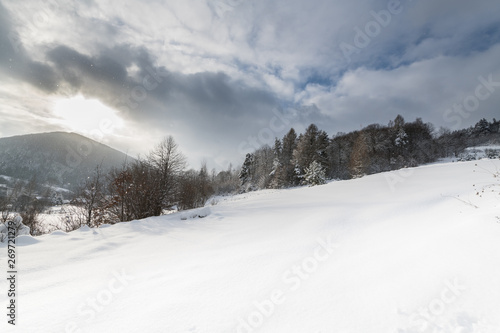winter mountain landscape © darek34