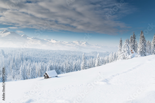 Fototapeta Naklejka Na Ścianę i Meble -  winter in the mountains