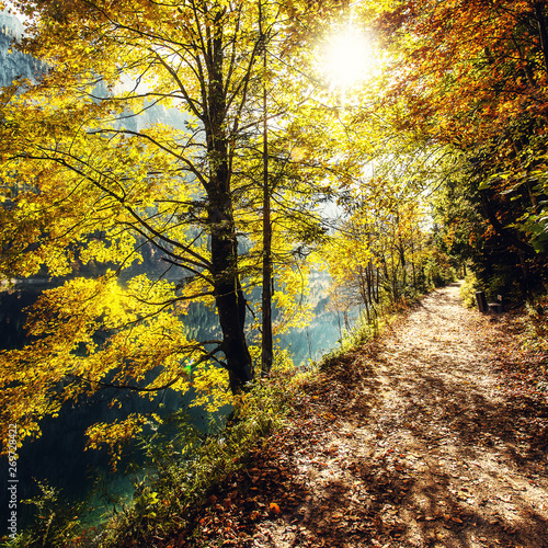 Fototapeta Naklejka Na Ścianę i Meble -  Autumn forest scenery with rays of warm light illumining the gold foliage and a footpath leading into the scene. Austrian alps in Autumn. Forest near Gosausee lake. popular hiking location