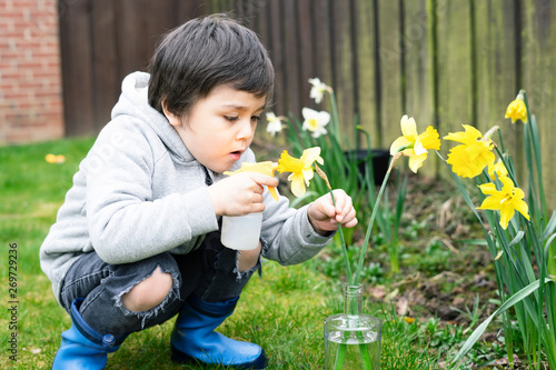 Cute boy using sprayer bottle sprinkles water on daffodils flowers, Kid having fun with gardening, Active child activities in garden, A boy spraying flowers in the vase, Children gardening concept