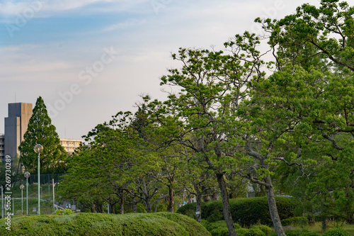 千里北公園