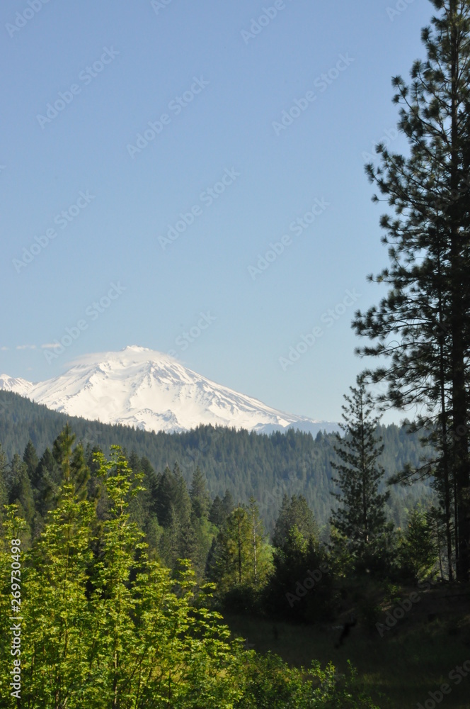 Mount Shasta
