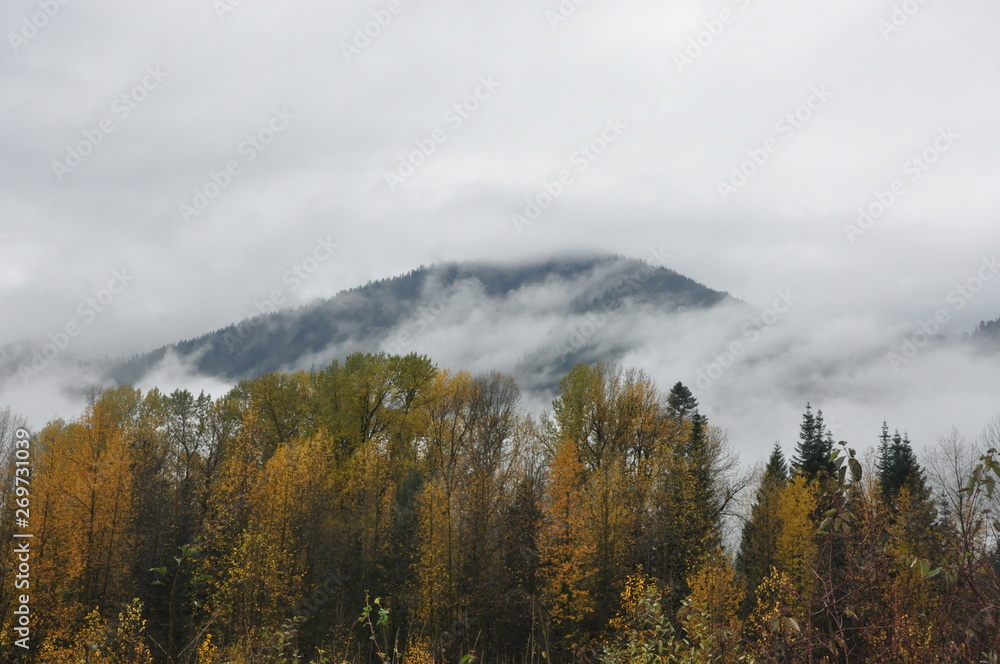 Autumn Mountain and Fog