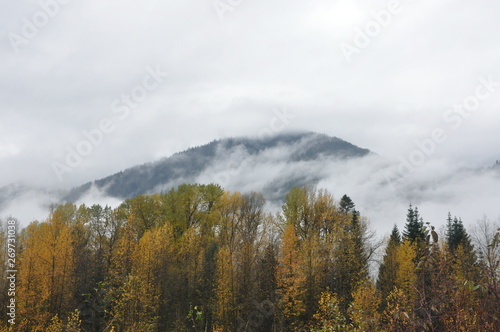 Autumn Mountain and Fog