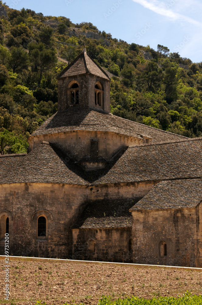 Fototapeta premium Le chevet de l'abbaye de Sénanque