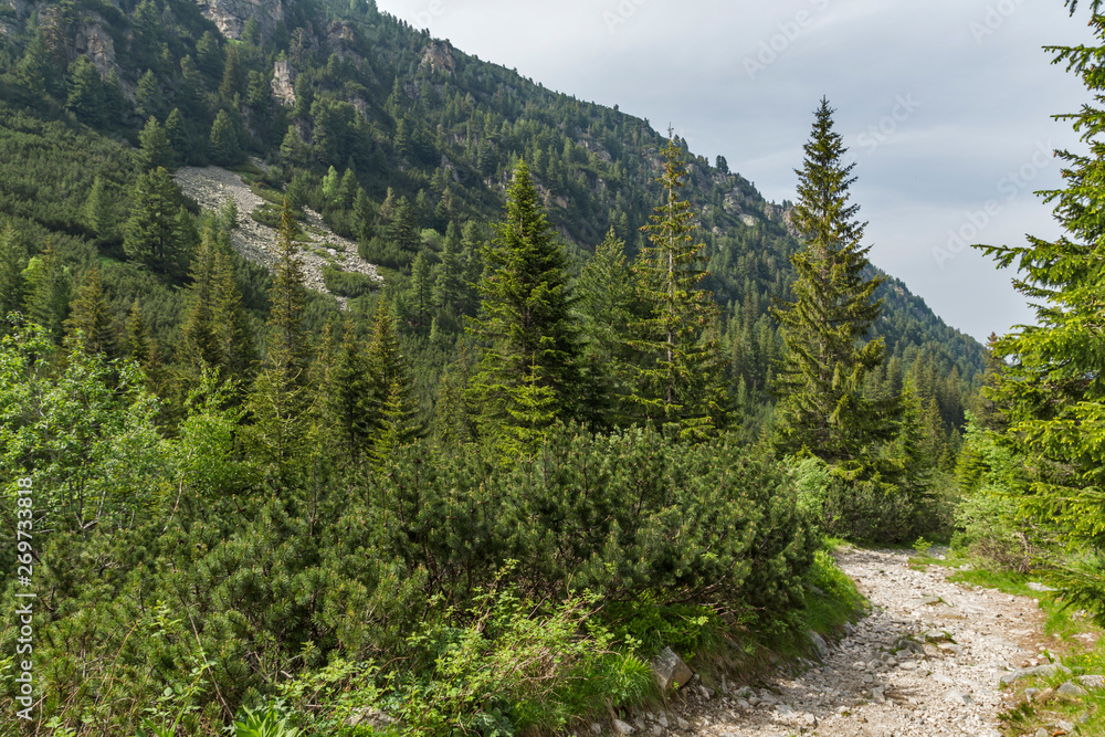 Summer Landscape from trail for Malyovitsa peak, Rila Mountain, Bulgaria