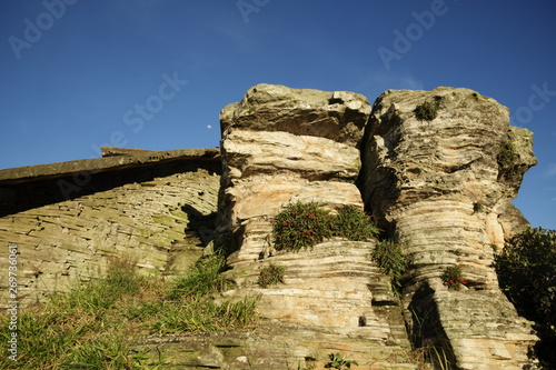 Bild auf Leinwand Stones and full moon