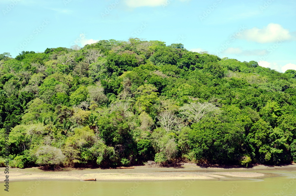Green landscape of the Panama Canal, view from the transiting container ship. Green landscape of the Panama Canal, view from the transiting container ship.