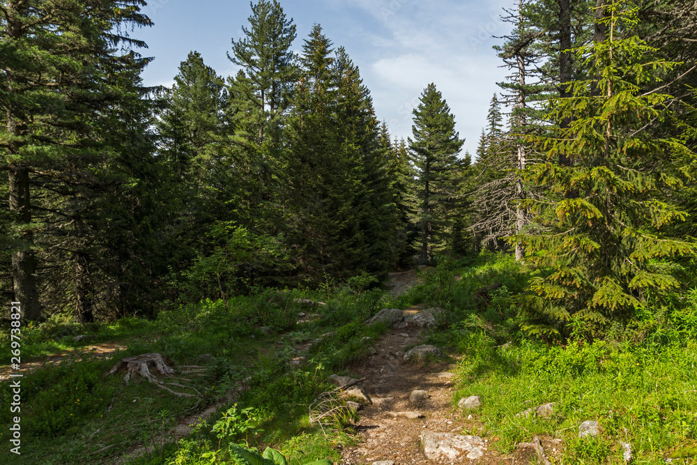 Fototapeta premium Summer Landscape from trail for Malyovitsa peak, Rila Mountain, Bulgaria