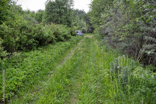 road, path, forest, nature, landscape, trees, tree, green, grass, summer, rural, sky, woods, countryside, country, spring, footpath, wood, trail, park, walk, way, meadow, field