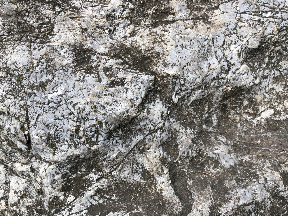 Gray stone background with black lines. gray rock surface texture Gray stone background with black lines. gray rock surface texture