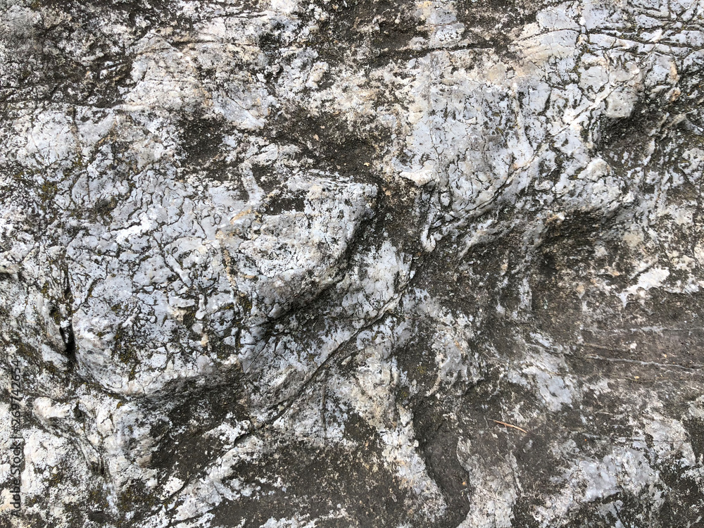 Gray stone background with black lines. gray rock surface texture Gray stone background with black lines. gray rock surface texture