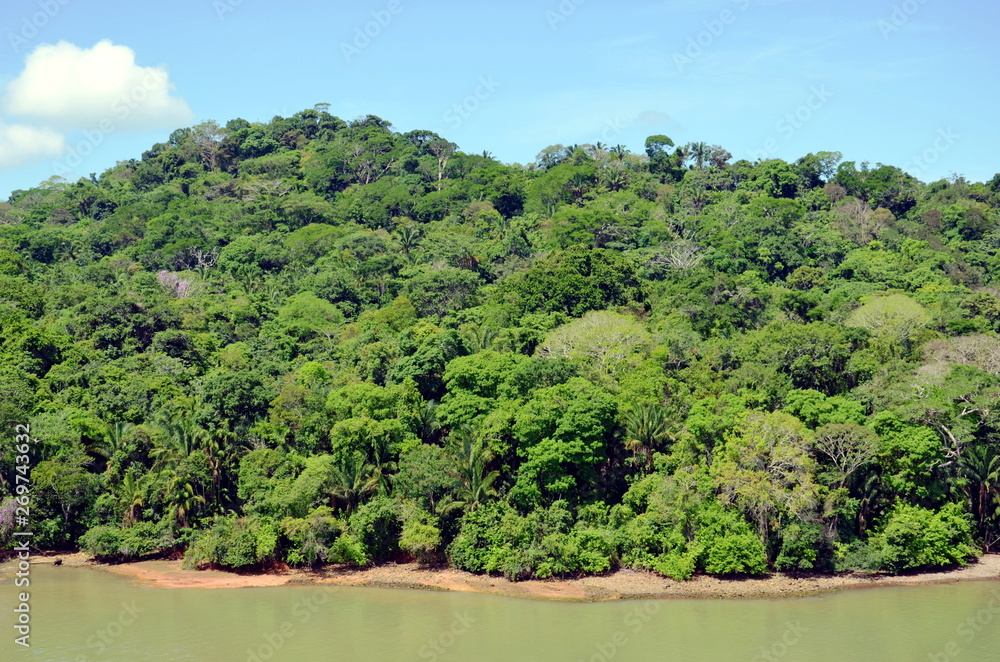 Green landscape of the Panama Canal, view from transiting container ship.